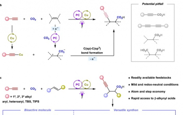 四川大學Nature Commun：CO2和炔烴對烯烴炔基羧基化構筑β炔基酸