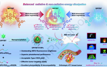 Biomaterials：多維供體工程化NIR-II AIEgens用于實現(xiàn)原位乳腺癌多模態(tài)光學(xué)診療