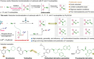 湖南大學(xué)&湖南第一師范&麥吉爾大學(xué)Science Advances：二酚磷氧直接還原羰基