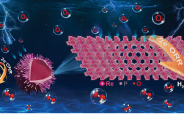 蘇州大學(xué)Adv Mater：空心多級結(jié)構(gòu)RE-P-O電化學(xué)合成H2O2