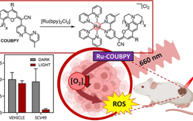 JACS：含COUBPY配體的釕（II）多吡啶基配合物可實(shí)現(xiàn)對(duì)乏氧腫瘤的有效光學(xué)治療